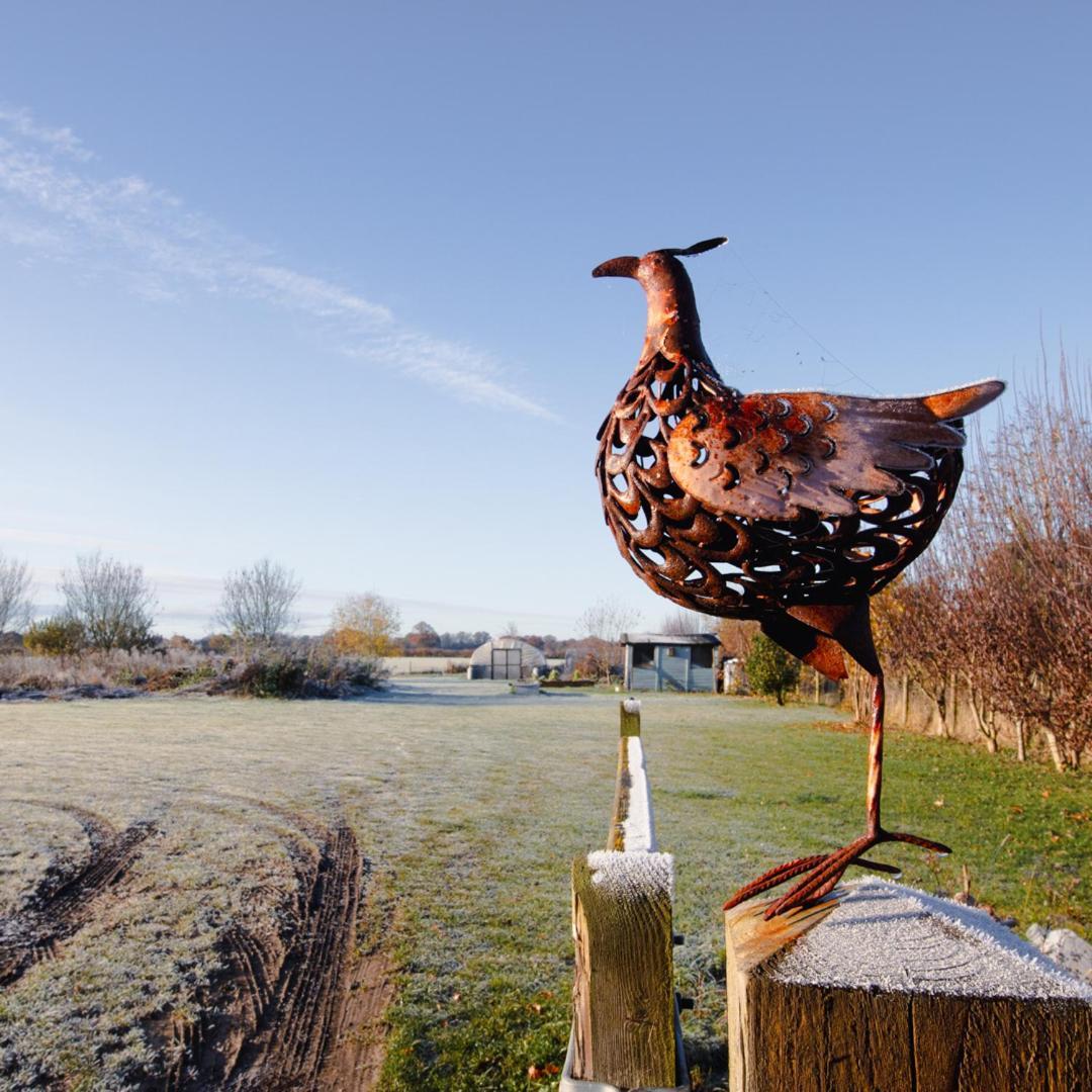 The Pheasant Public House & Hotel Gestingthorpe Eksteriør bilde